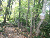 夢の「野鳥村」建設予定地付近