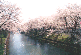 羽村堰下公園