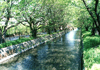 立川市砂川町の見影橋付近