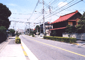 奥多摩街道