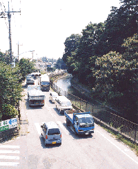 玉川上水に沿って街道が続く