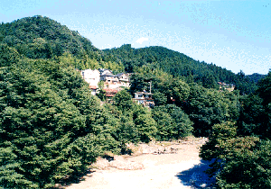 横沢の山並みと秋川