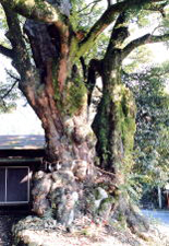 隧道