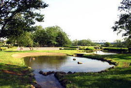 多摩川中央公園